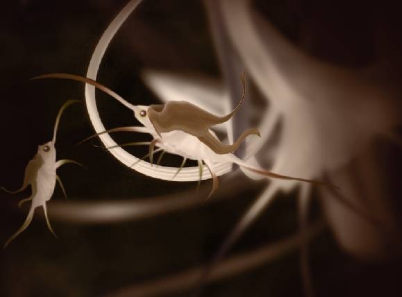 Creation of Flying insects: Step 7
